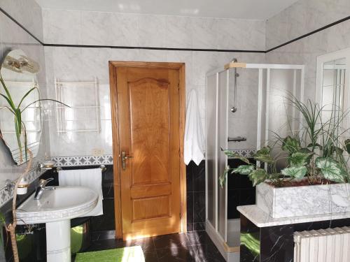 W łazience znajduje się umywalka i prysznic. w obiekcie ANAMAR w mieście Lugo