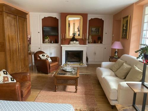 un salon avec un canapé et une cheminée dans l'établissement Gite le Mont Blanc, à Le Mesnil-sur-Oger