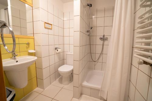 a bathroom with a toilet and a shower and a sink at Gościniec Dębowa Gazdówka in Ustrzyki Dolne