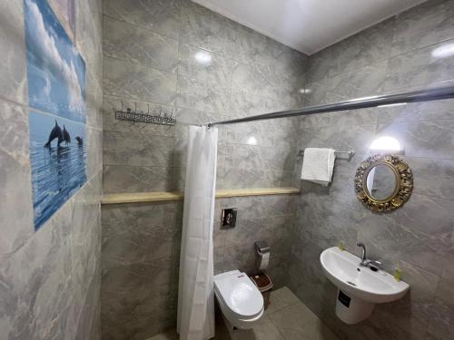 a bathroom with a sink and a toilet and a shower at Bedouins Inn Village in Aqaba