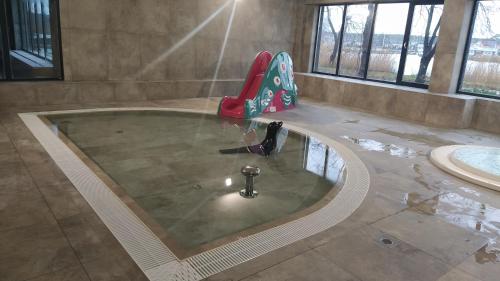 a swimming pool in the middle of a room at Apartament z widokiem Dziwnów & Spa, in Dziwnów