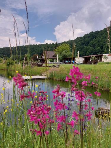 a bunch of pink flowers in front of a pond at Ciucea185 -Casa din Livadă in Ciucea