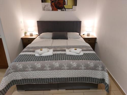 een slaapkamer met een bed met 2 kussens erop bij Apartments Alexandra in Celje