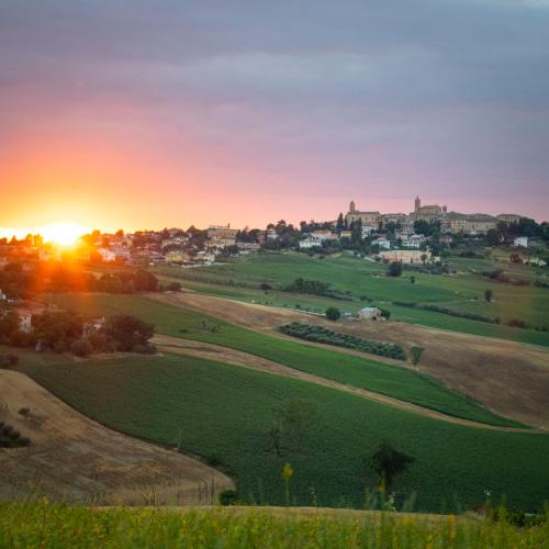 a sunset over a green field with a town in the background at Tenuta San Marcello in San Marcello