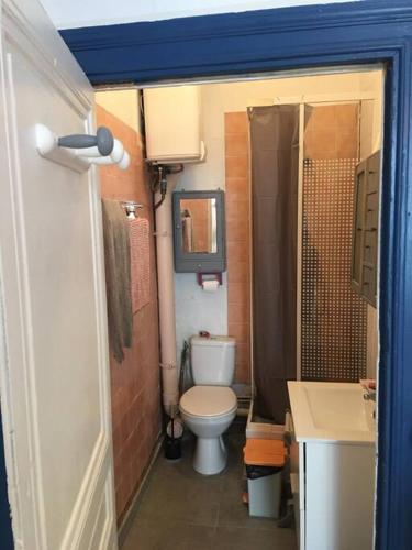 une petite salle de bain avec toilettes et lavabo dans l'établissement Studio (T1) quartier Cathédrale, à Tours