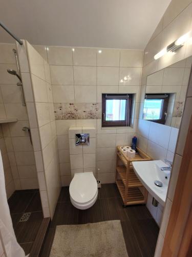 małą łazienkę z toaletą i umywalką w obiekcie Domki Oaza Spokoju we Władysławowie