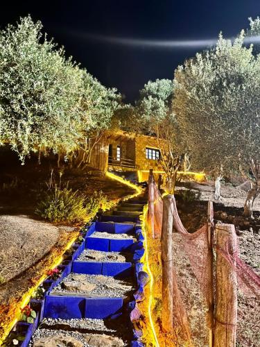a set of blue stairs in front of a house at Dmina House in Asilah