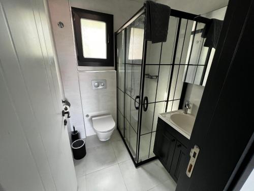 Black Pearl Private Villa with pool & Seaview في تورونش: حمام مع مرحاض ودش ومغسلة