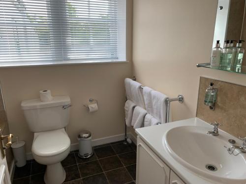 a bathroom with a toilet and a sink at The Delnashaugh in Ballindalloch