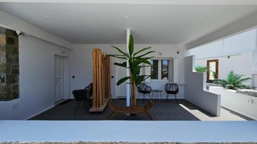 a living room with a potted plant in the middle at Mykonos Double Luxury Mini Suites - Adults only in Ano Mera