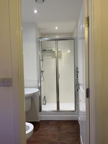 a bathroom with a shower and a toilet at Spacious Amazing Luxury En-suite double room with free parking in a two bedroom apartment in Belvedere