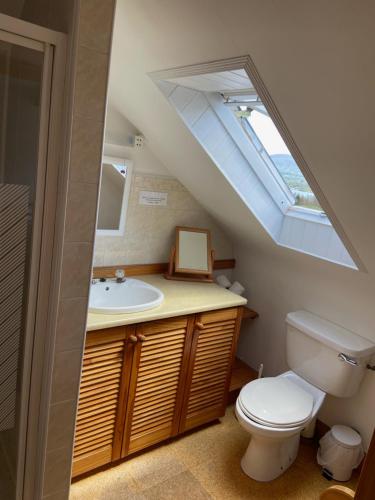 ein Badezimmer mit einem WC und einem Waschbecken mit einem Dachfenster in der Unterkunft Grenane Heights in Kenmare