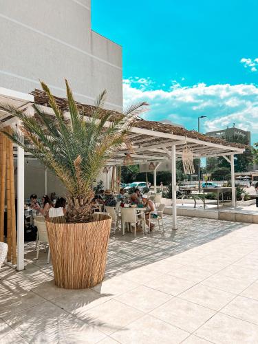 a palm tree in a large pot on a patio at Hotel Victory in Mamaia