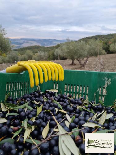 Gallery image of Agriturismo IL Paradiso di Berignone in Caprareccia