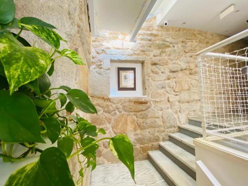 a room with a stone wall with stairs and a plant at Hospedaje CasaSampedro in Muros