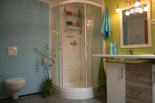 La salle de bains est pourvue d'une douche, de toilettes et d'un lavabo. dans l'établissement FeWo, Ferienwohnung, Peenemünde im Naturschutzgebiet, à Peenemünde