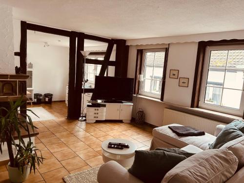 ein Wohnzimmer mit einem Sofa und einem TV in der Unterkunft "Cuvée" Magnum in Rüdesheim am Rhein