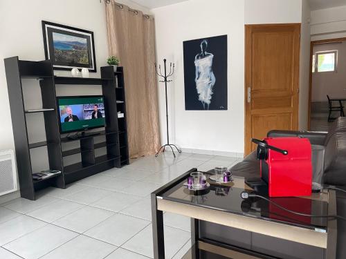 salon z kanapą i telewizorem w obiekcie Mer et calme w mieście Le Pradet