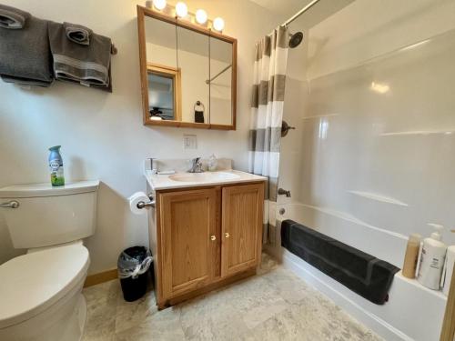 een badkamer met een wastafel, een toilet en een spiegel bij 2 King Bedrooms each with full bath, Amazing Views! in Healy