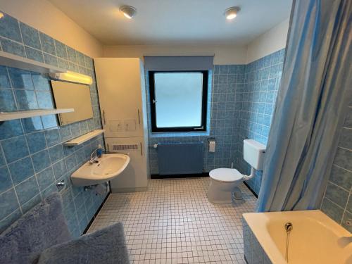 a bathroom with a sink and a toilet and a window at Große Ferienwohnung Chagall am Duschlberg - Dreiländereck in Neureichenau