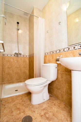 a bathroom with a toilet and a sink and a shower at San José Guest House in Granada