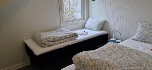 Vestpollen的住宿－Pilan Lodge Lofoten，客房设有两张床和窗户。