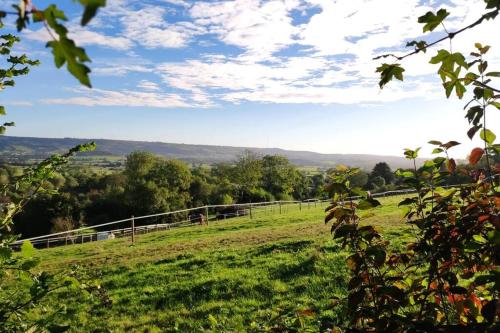 a grassy field with a fence in the distance at Hide on the Hill Cottage in Wells