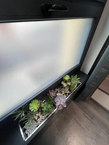 a planter with plants in the corner of a wall at Residence Star in Turin