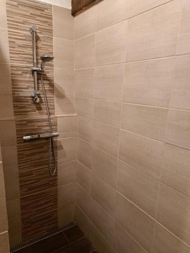 a shower in a bathroom with a tile wall at Vila Hedvika in Nové Hrady