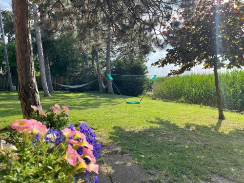 Gallery image of Casa di Bianca - közvetlen vízparti nyaraló in Siófok