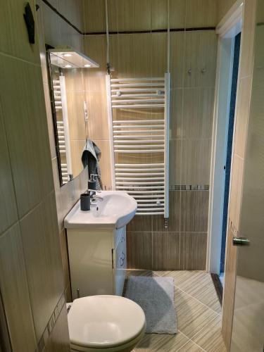 a bathroom with a sink and a toilet and a mirror at Casa di Bianca - közvetlen vízparti nyaraló in Siófok