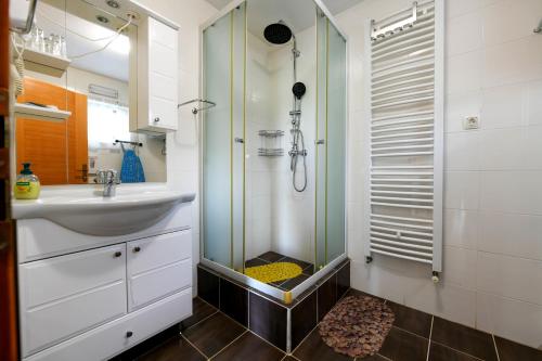 a bathroom with a sink and a glass shower at Apartman Leona in Rakovica