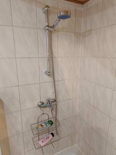 a bathroom with a shower with a rack next to a tub at Haus Luise in Stapelburg