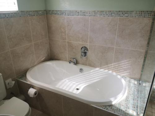 La salle de bains est pourvue d'un lavabo blanc et de toilettes. dans l'établissement River Bliss, à East London