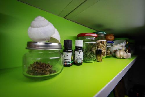 a green counter with jars of herbs and spices at Planinska kuća Bubi - Tara, Zaovine. in Jezdići