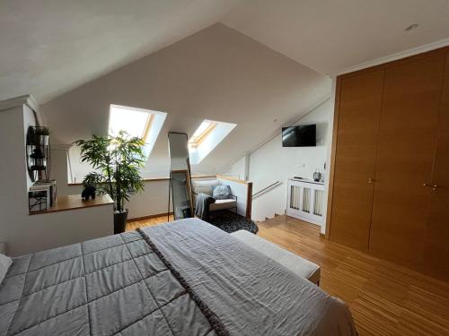 sypialnia z łóżkiem, kanapą i telewizorem w obiekcie Maravilloso Ático-duplex w mieście Vigo