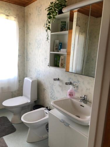 a bathroom with a white toilet and a sink at Nila's Stuga in Diö
