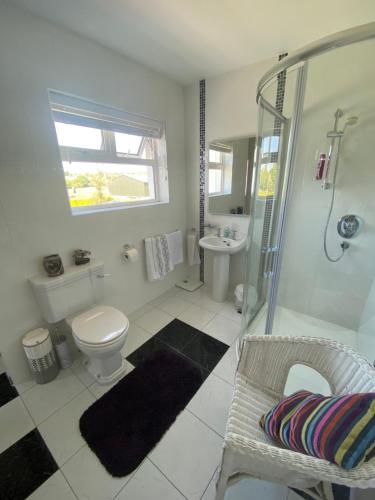 a bathroom with a shower and a toilet and a sink at Ashbrook B&B in Killarney