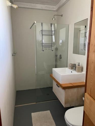a bathroom with a sink and a shower and a toilet at Affitto frassanito in Otranto