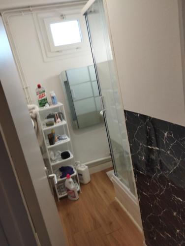 La salle de bains est pourvue d'une douche à l'italienne à côté d'un miroir. dans l'établissement Ben heber, à Sotteville-lès-Rouen