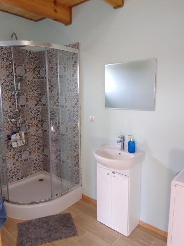 a bathroom with a shower and a sink at Letniskowiec Kownatki in Siemienowo