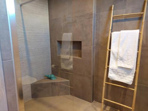 a shower with a glass door and a towel rack at New minimal apartment,10' from Athens airport in Spáta