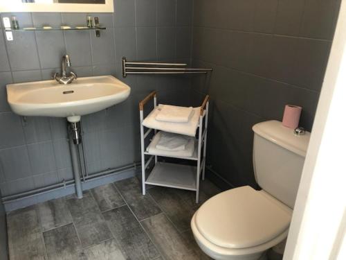 La salle de bains est pourvue d'un lavabo blanc et de toilettes. dans l'établissement HOTEL BON ACCUEIL, à Oyonnax