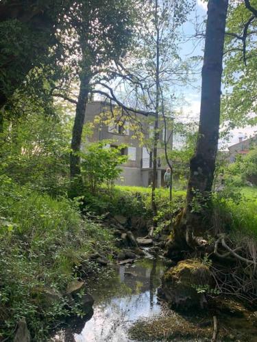 un ruisseau dans une forêt avec une maison en arrière-plan dans l'établissement Chez Camille aux Sieges, à Les Rives
