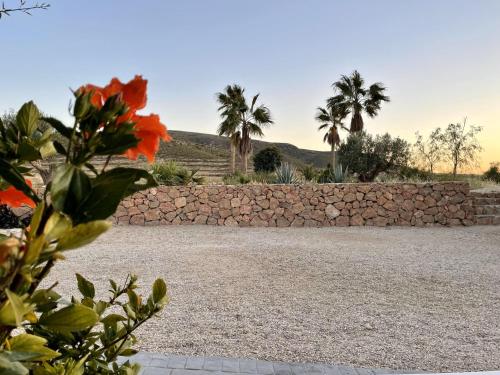 a stone wall with palm trees in the background at Apartamentos MadreSelva in Fernán Pérez