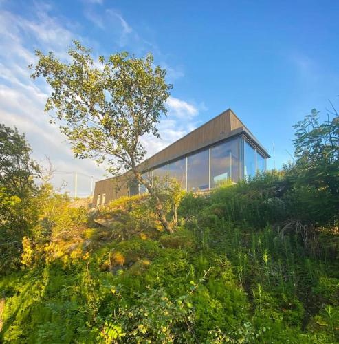 a house on top of a hill with glass at Senjavista, near nature, sea and mighty mountains in Skaland