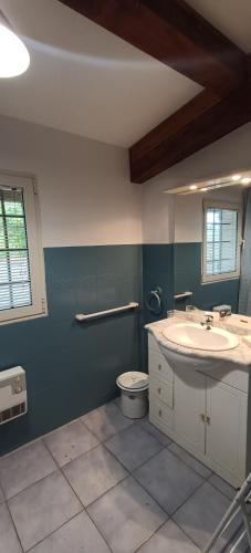 une salle de bain avec un lavabo et des toilettes dans l'établissement Cabanon L'Olivier, à Valensole