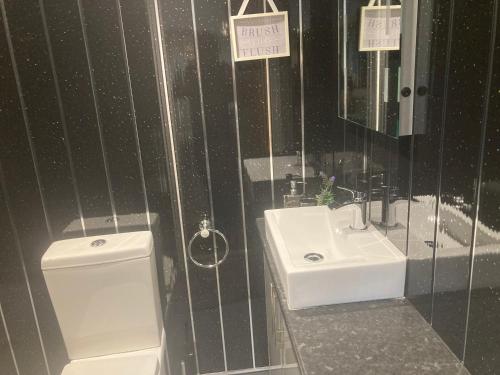 a bathroom with a toilet and a sink and a mirror at The Spinney lodge in Bubbenhall