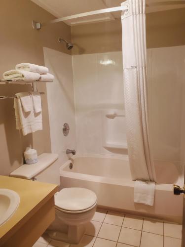 La salle de bains est pourvue de toilettes, d'une baignoire et d'un lavabo. dans l'établissement Wyo Inn, à Sheridan