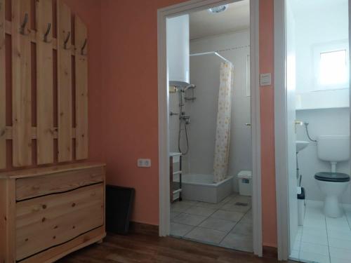 ヘーヴィーズにあるAal Vendégház ll.のバスルーム(シャワー、トイレ、鏡付)